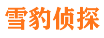 绿园市调查公司